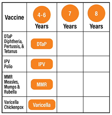 4-8 year old vaccination chart